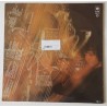 Andreas Vollenweider – ...Behind The Gardens