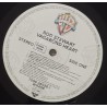 Rod Stewart – Vagabond Heart