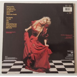 Stevie Nicks – The Other Side Of The Mirror