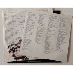 Stevie Nicks – The Wild Heart