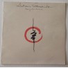 Andreas Vollenweider – Dancing With The Lion