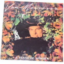 Van Morrison – A Sense Of...